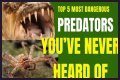 10 Terrifying And Deadly Predators You've Never Heard Of