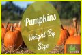 How Much Does Pumpkin Make Per Episode On Mama June?