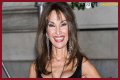 Susan Lucci Net Worth – How Much is Lucci Worth?