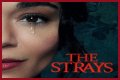 “The Strays” Is Set To Released On Netflix