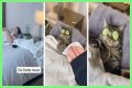 TikTok Is Obsessed With This Guy and His Cat Having a Relaxing Spa Day Together